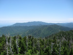 Mt Leconte from Clingmans Dome