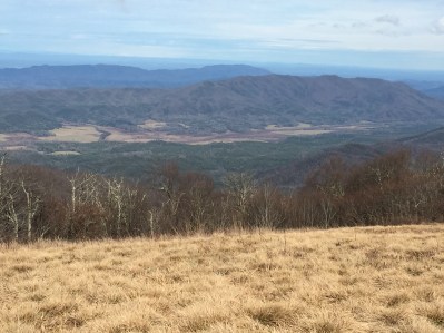 Cades Cove From Gregory Bald