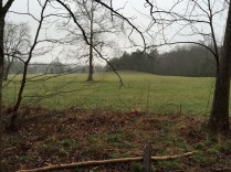 Meadow along Rich Mountain Loop Trail