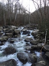 Middle Prong of the Little Tennessee at Ramsay Cascades Trail