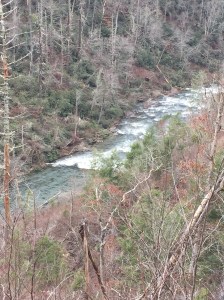 View of Abrams Creek from Hatcher Mountain Trail