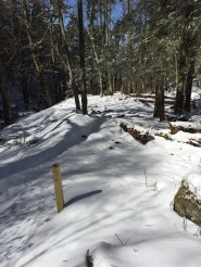 Campsite #29 - Otter Creek