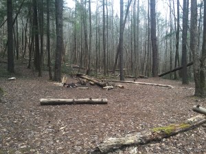 Campsite #2 - Cane Creek