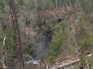 Abrams Creek on the descent of Little Bottoms Trail