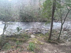 Abrams Creek at CS#17