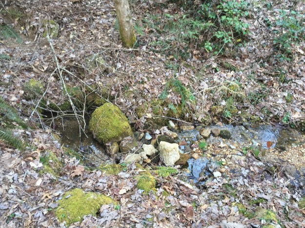 Campsite #16 – Scott Gap | Hiking the Great Smoky Mountain National Park