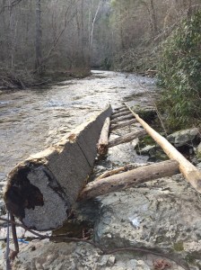 Footlog on Abrams Creek