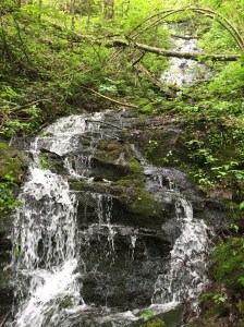 Cascade at Riding Fork