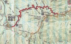 Lower Mount Cammerer Trail